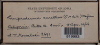 Image Associated With the Occurence